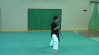 Choun no Kon  Seibukan Karate Jinbukan Kobudo Shudokan Aikido RUSSIA  Batista Alicia Veronica [upl. by Clarke413]