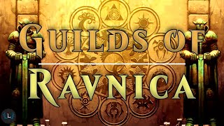 The Guilds of Ravnica Explained  Part 2  MTG Lore [upl. by Nylad297]