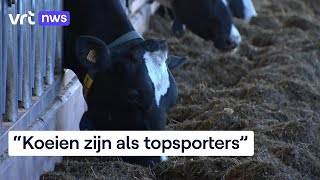 Melkproductie in Vlaanderen is een van de meest klimaatvriendelijke ter wereld [upl. by Seftton]