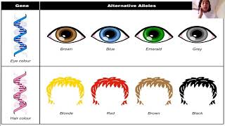 Introduction to Cytogenetics Filipino Genes Alleles Chromosomes [upl. by Gefen554]