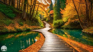 Beautiful Relaxing Music  Soothing Autumn Melodies Mindful and Peaceful Piano Instrumental Music [upl. by Arand788]