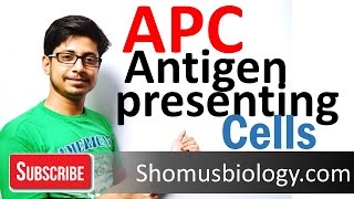 Antigen presenting cells APC [upl. by Herald797]