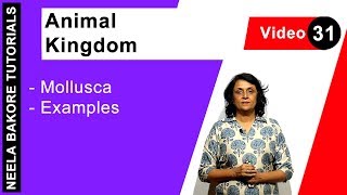 Animal Kingdom  NEET  Mollusca  Examples  Neela Bakore Tutorials [upl. by Icats427]