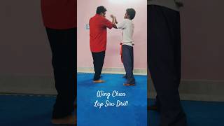 Wing Chun 🤛⛩ Lap Sau Drill wingchun martialarts india viralshorts viralvideo training [upl. by Carlita831]