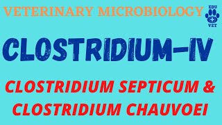 Clostridium Part IVClostridium septicum amp Clostridium chauvoei [upl. by Violet930]