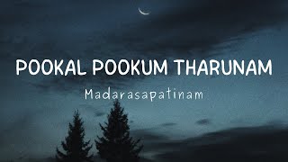 Pookkal Pookkum Flute BGM  Sruthi Balamurali  GV Prakash  Madrasapattinam [upl. by Blalock]