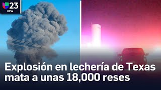 Explosión en lechería de Texas mata alrededor de 18000 cabezas de ganado [upl. by Ellahcim566]