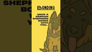 German Shepherd  Bonding  Facts shorts viralvideo shortvideo [upl. by Eirtemed762]