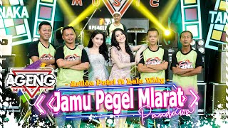 JAMU PEGEL MLARAT  Arlida Putri amp Lala Widy ft Pandawa Ageng Music Official Live Music [upl. by Becka902]