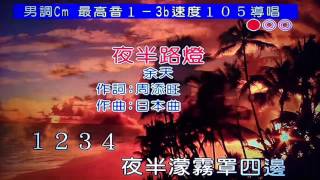 夜半路燈 日本曲 夜更けの路燈  快樂老宅 翻唱 [upl. by Legnaleugim]