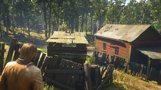 Whoever discovered this Easter egg should win the Nobel Prize  RDR2 [upl. by Acirretahs]