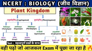 Plant Kingdom  पादप जगत का वर्गीकरण  Padap jagat  Botany  Study vines official [upl. by Chema28]