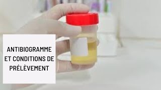 Antibiogramme et Conditions de prélèvement [upl. by Anrat132]