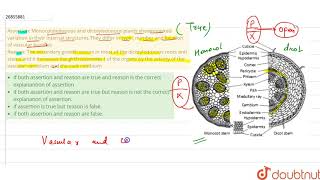 Assertion Monocotyledonous and dicotyledonous plants shownmarke [upl. by Christian]