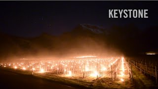 Mystischer Anblick Winzer bekämpfen Frost mit Feuer  Fläsch  Frostkerzen  Graubünden  Wein [upl. by Tobias]