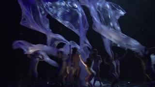 2014 World of WearableArt Awards Show Highlights [upl. by Dolan131]