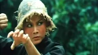 Les Sept Successeurs du Super Maître de Shaolin  1980 Action KungFu Film Complet en français [upl. by Anees]