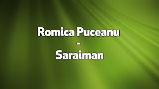 Romica Puceanu  Saraiman versuri lyrics karaoke [upl. by Vassili]