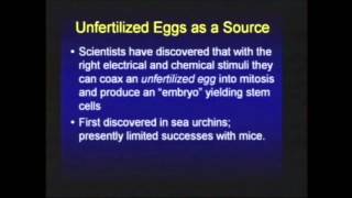 Stem Cells amp the Nephilim  Chuck Missler  Full [upl. by Adnohryt]