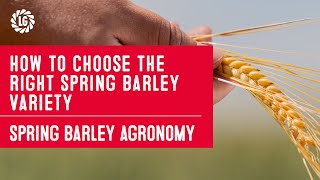 Spring Barley Agronomy Series  2 Choose The Right Variety [upl. by Ileray441]