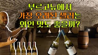 부르고뉴 최고령 셀러 샷또 드 뫼르소 와이너리 투어Chateau de Meursault Winery Tour 부르고뉴여행 [upl. by Dlonyer]