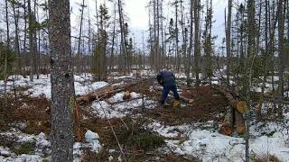 Timberjack skidder Logging the spruce swamp  Part 2 [upl. by Helyn309]