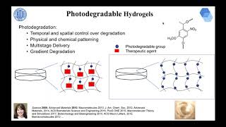 How to Better Design Biomedicine Polymeric Materials and Nanomaterials Webinar [upl. by Pell]