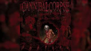 Cannibal Corpse  quotTorturequot Full album [upl. by Eceeryt774]