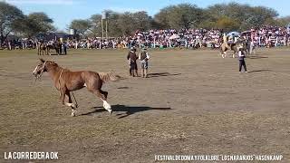 Jineteada en Estancia Los Naranjos Hasenkamp Entre Ríos 2023 [upl. by Morty142]