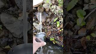 Doğal Kaynak suyu çeşmesi ve kürünü nature shortvideo water [upl. by Sirenay334]