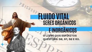 FLUIDO VITAL  SERES ORGÂNICOS E INORGÂNICOS  FÁBIA FERRAZ [upl. by Llerehs]