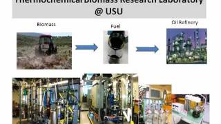 Biomass conversion process in hindi [upl. by Ardnuasak]