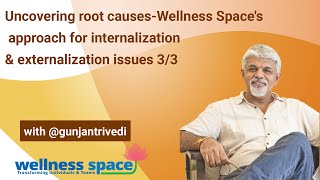 3 of 3Uncovering root causesWellness Spaces approach to internalization amp externalization issues [upl. by Tuorah]