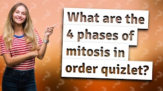 What are the 4 phases of mitosis in order quizlet [upl. by Idac]