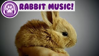 Music for Rabbits Calm and Soothe Your Rabbit and Stop Anxiety [upl. by Kjersti]