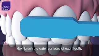 How to Brush Your Teeth Animation MCM [upl. by Yelhak]