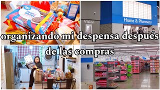 QUE COMPRÉ EN EL WALMART DE ÉL PASO TEXAS CON 125 DÓLARESORGANIZACIÓN RÁPIDA DE MI DESPENSA [upl. by Baker]