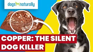 Copper  The Silent Dog Killer [upl. by Kimball]