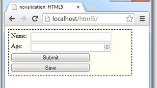 Form novalidate attribute HTML5 [upl. by Nitza843]