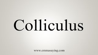 How To Say Colliculus [upl. by Rednirah]