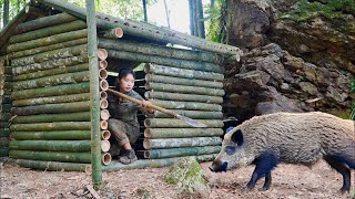 2 days of survival in the deep forest building shelters trapping wild boars alone survival [upl. by Yekciv]