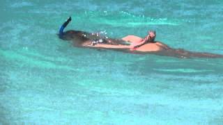 Snorkeling Anguilla Shoal Bay [upl. by Ahsitan61]