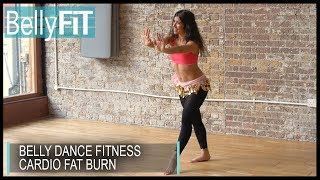 Belly Dance Fitness Calorie Burn  Shimmy Challenge [upl. by Kampmeier326]