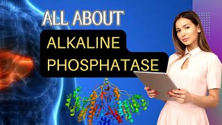 Alkaline Phosphatase Test  ALP Test ALP Normal Range Causes of Low ALPHigh ALP amp Its Functions [upl. by Akimert]