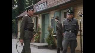 Escape From Sobibor 1987 STV TRUEFRENCH DVDRiP XViD AC3 THEWARRIOR777 [upl. by Naihs]