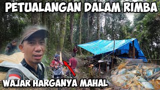 MERAJUT ASA DI HUTAN RIMBA BELANTARA  PETUALANGAN JDTV BUSHCRAFT CAMPING [upl. by Ednyl]