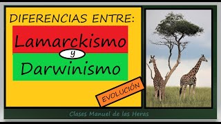 Diferencias entre LAMARCK y DARWIN Caracteres Adquiridos y Selección Natural Teorías Evolución [upl. by Ettenahs614]