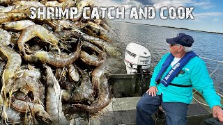 Catching WILD SHRIMP with a Trawl Net  Shrimp Catch and Cook [upl. by Delia]