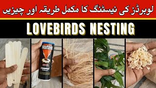 Best Nesting Material for Lovebirds  Parrots ko Nest Material Konsa Den  Birds Nesting Material [upl. by Assirrem]