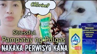 DIY Mabisang Gamot ng Pulgas sa Aso [upl. by Airdnassac309]